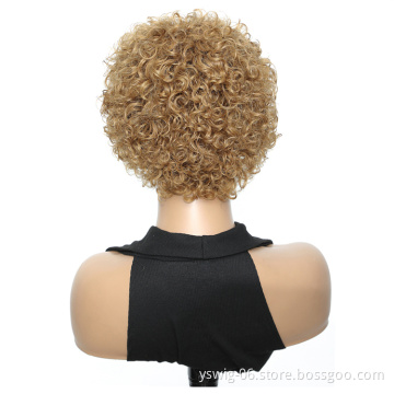 Factory Pixie Cut Wig Human Hair Curly Bob Pixie Cut Lace Wig Bleached Knots Lace Frontal Pixie Curls Short Wigs For Black Women